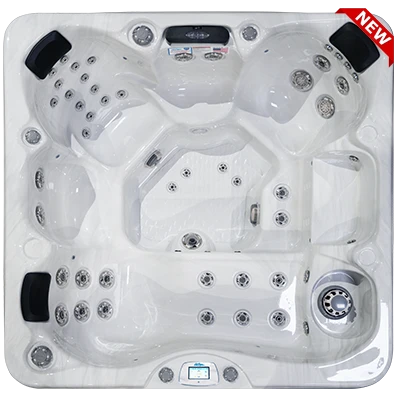 Avalon-X EC-849LX hot tubs for sale in New Zealand